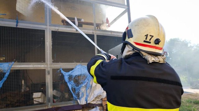 10 кролів загинули, ще 15 поранені, у слона гостра реакція на стрес через удар по Харківському зоопарку