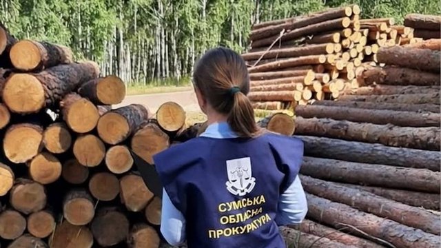 На Сумщині викрито підприємця, який завдав незаконними вирубками збитків на майже 36 млн грн – прокуратура