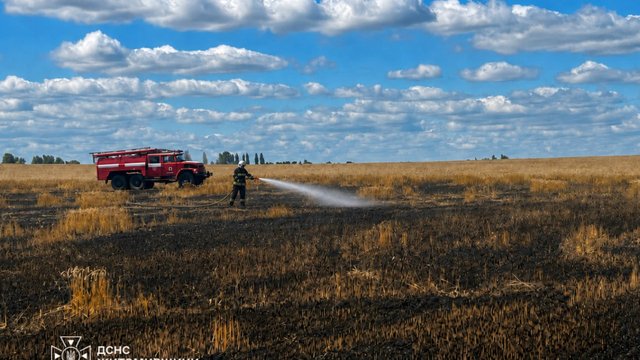 Російська атака знищила на Житомирщині 2 га пшеничного поля, яке аграрії готували до збору врожаю, – ОВА