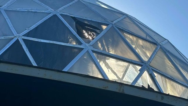 В Київському зоопарку через обстріл постраждали тварини та пошкоджено будівлі