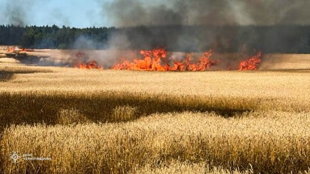 Чернігівщина: рятувальники ліквідували пожежі на полях зі збіжжям та в житловому секторі через атаки БпЛА РФ
