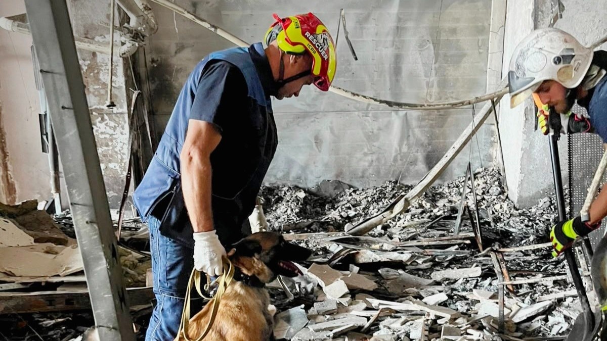 8 SES Service Dogs Deploy to Russian Strike Site - News Directory 3
