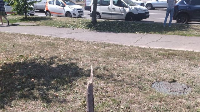 Кількість постраждалих у Києві зросла до 33 осіб, загинули 9 людей – поліція