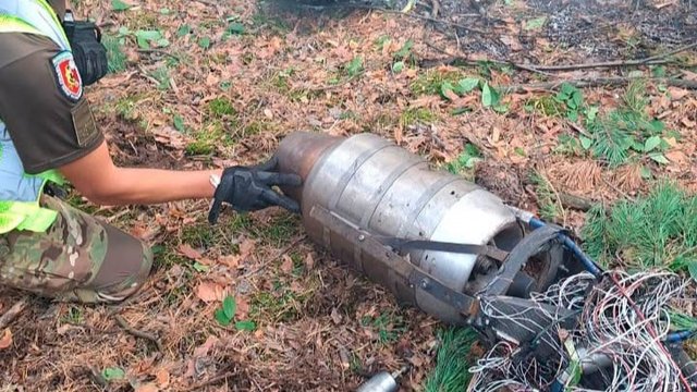 В Голосеевском районе Киева произошло возгорание травы и деревьев в результате падения беспилотника "Герань-4"