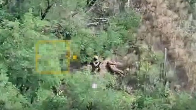 Оккупанты казнили двух пленных нацгвардейцев вблизи Доброполья – прокуратура