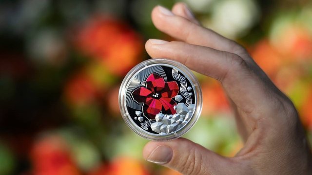 NBU unveils Chervona Ruta – Voice of Generations silver coin