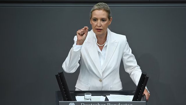 Putin economic adviser, AfD leadership prepare meeting on resuming gas supplies – media