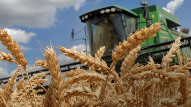 Russian jet-powered drone strikes Prometey agricultural holding's elevator in Mykolaiv